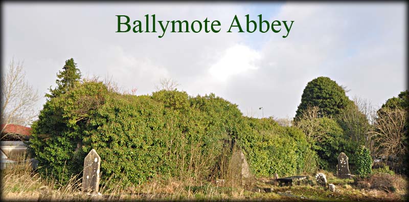Ballymote Abbey